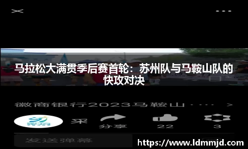凤凰联盟